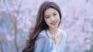 综艺分类4